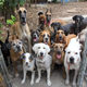 Image for article titled Yes, this photo is the best